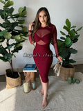 Camila mesh dress