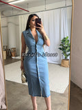 Lidia denim dress