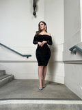 Allice velvet dress