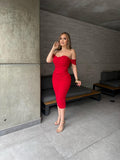 Mellody mesh midi dress