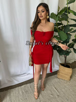 Cecy mesh mini dress