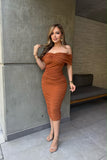 Ana Lucia mesh midi dress
