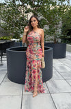 Margarita mesh maxi dress
