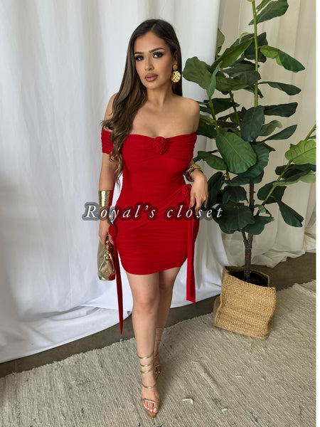 Cecy mesh mini dress