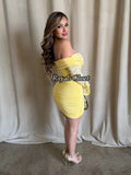Lina lace mini dress